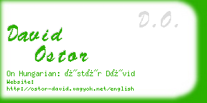 david ostor business card